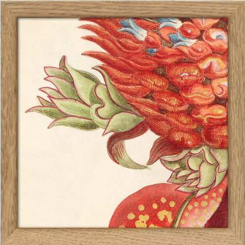Encadrement d'art -  detail ananas rouge encadré 17x17