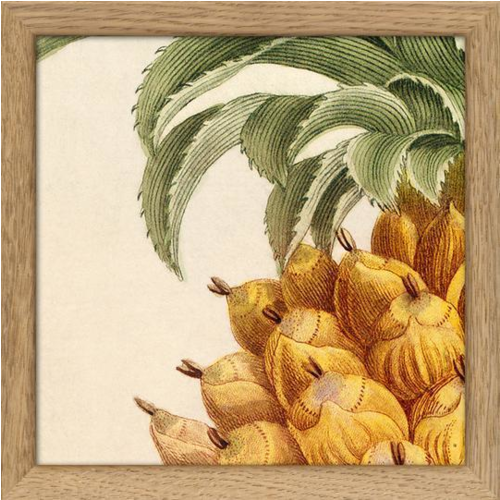 Encadrement d'art - détail ananas jaune encadré 17/17 cm